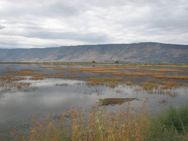 View from the lakebead